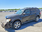 Ford Escape 2010