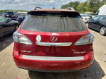 Lexus RX 2010