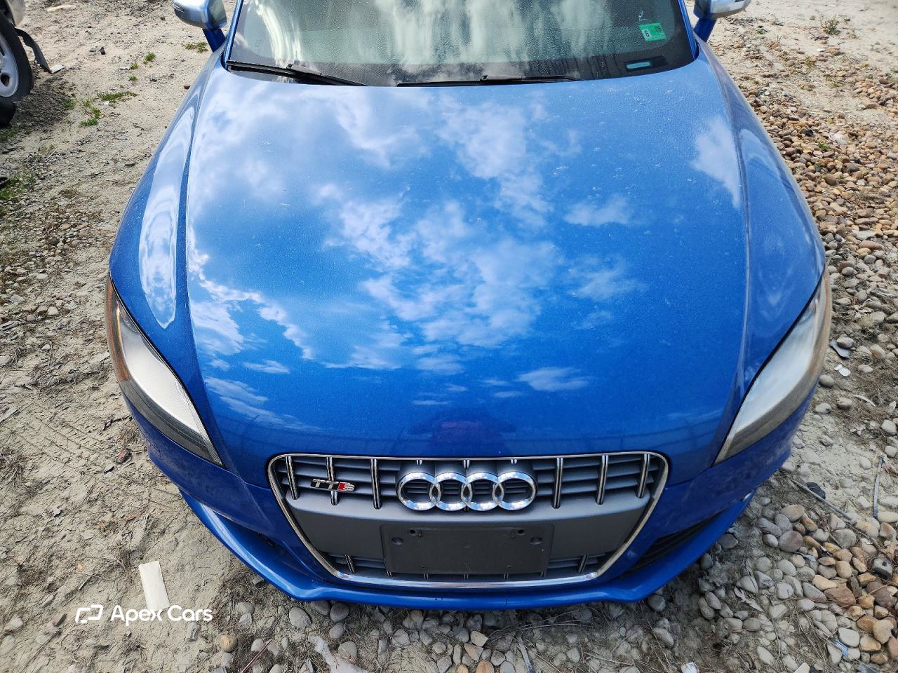 Audi TTS 2010