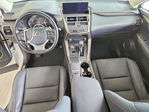 Lexus NX 2021