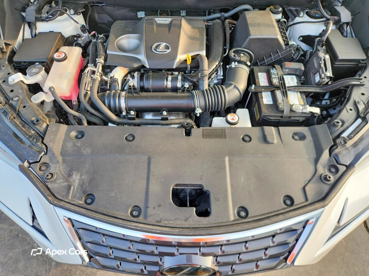 Lexus NX 2021