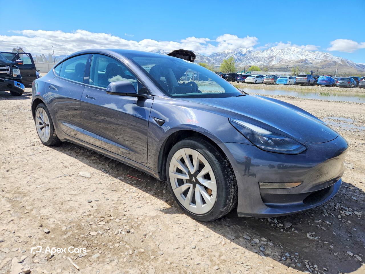 Tesla Model 3 2022
