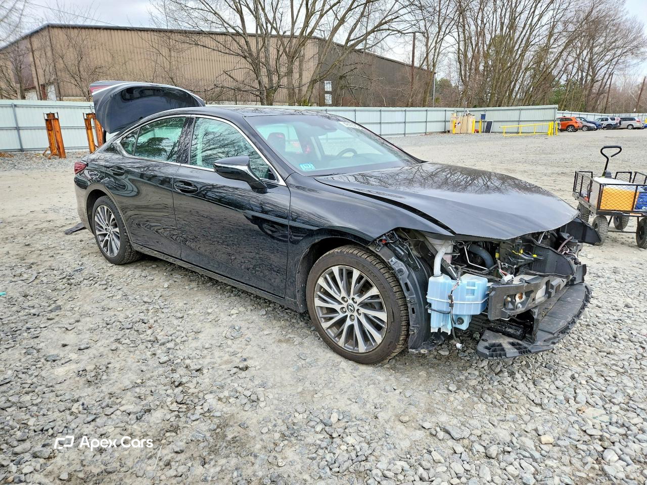 Lexus ES 2019
