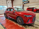 Lexus RX 2025
