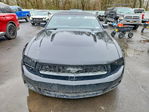 Ford Mustang 2011