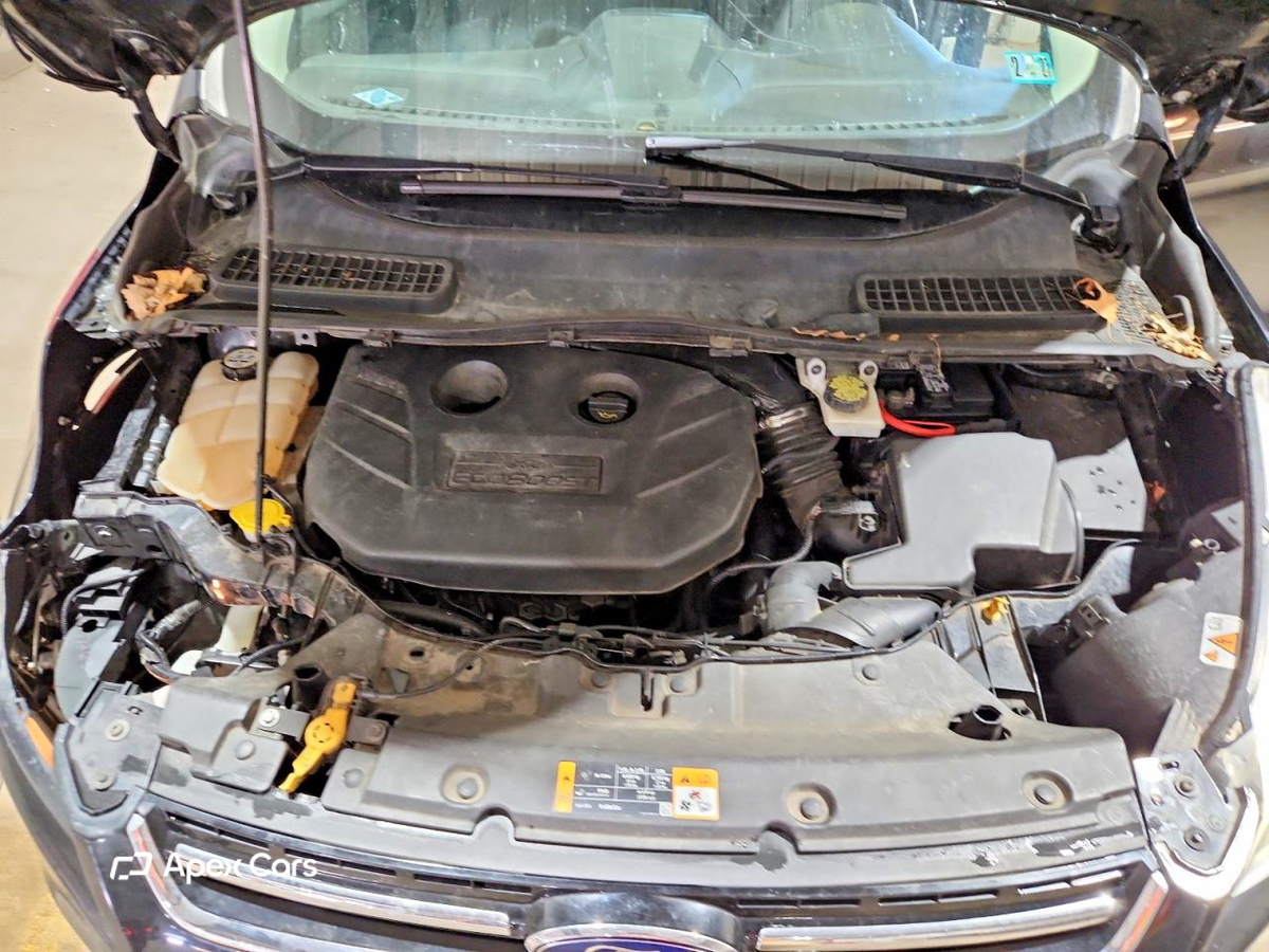 Ford Escape 2013