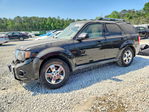 Ford Escape 2011