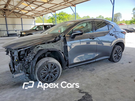 Lexus NX 2025 - Image 1 of 13