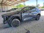 Lexus NX 2025