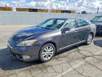 Lexus ES 2010