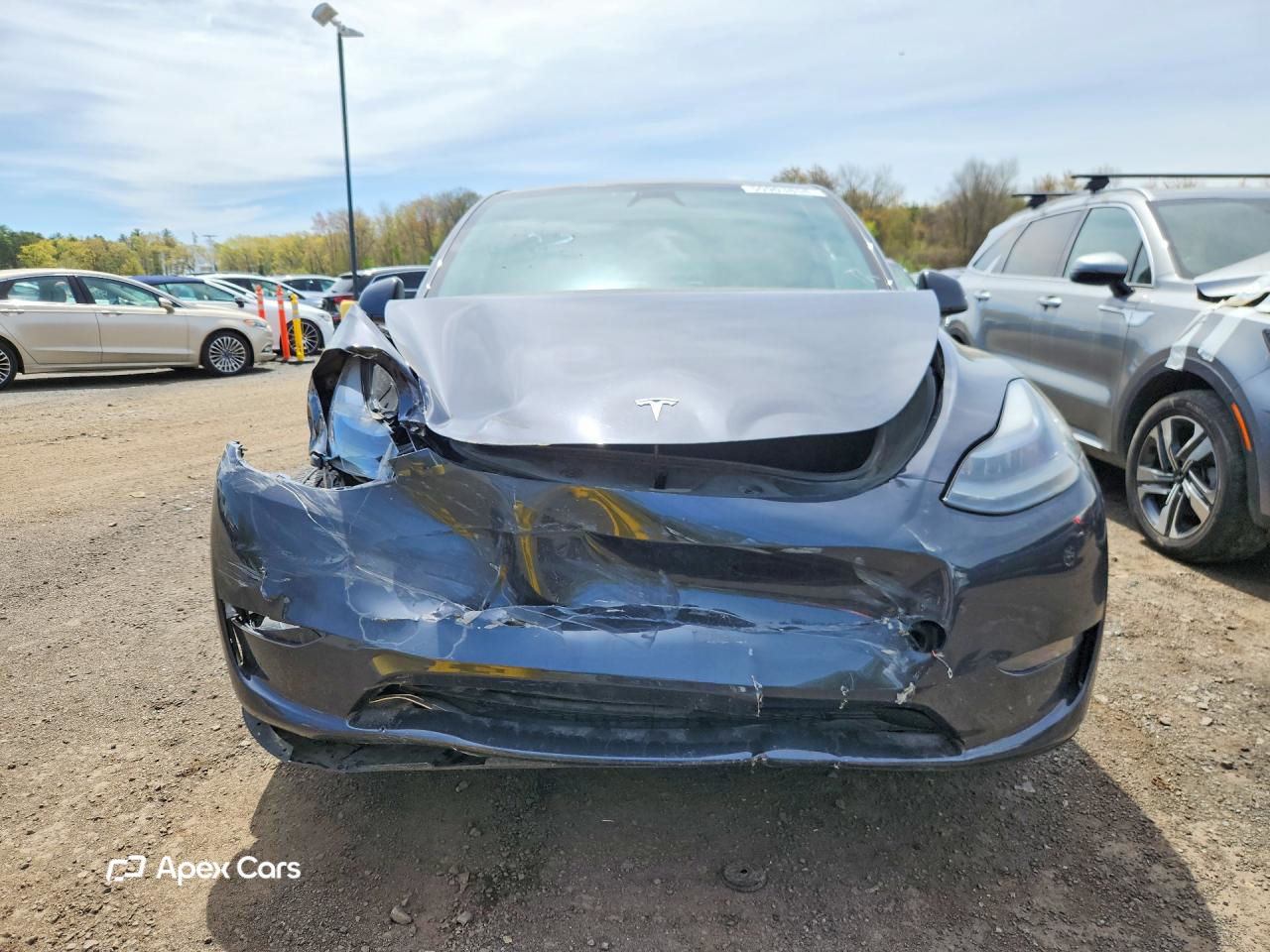 Tesla Model Y 2024