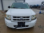 Ford Escape 2010