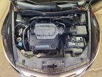 Honda Accord 2010