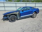Ford Mustang 2007