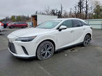 Lexus RX 2024