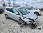 Ford Escape 2014