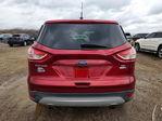 Ford Escape 2014
