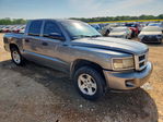 Dodge Dakota 2010