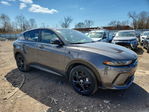 Dodge Hornet 2024