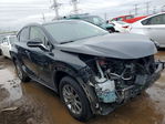Lexus NX 2021