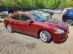 Nissan Maxima 2012