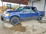 Ford F-150 2010
