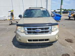 Ford Escape 2012