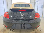 Volkswagen Beetle 2014