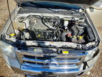 Ford Escape 2011