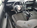 Ford Mustang 2015