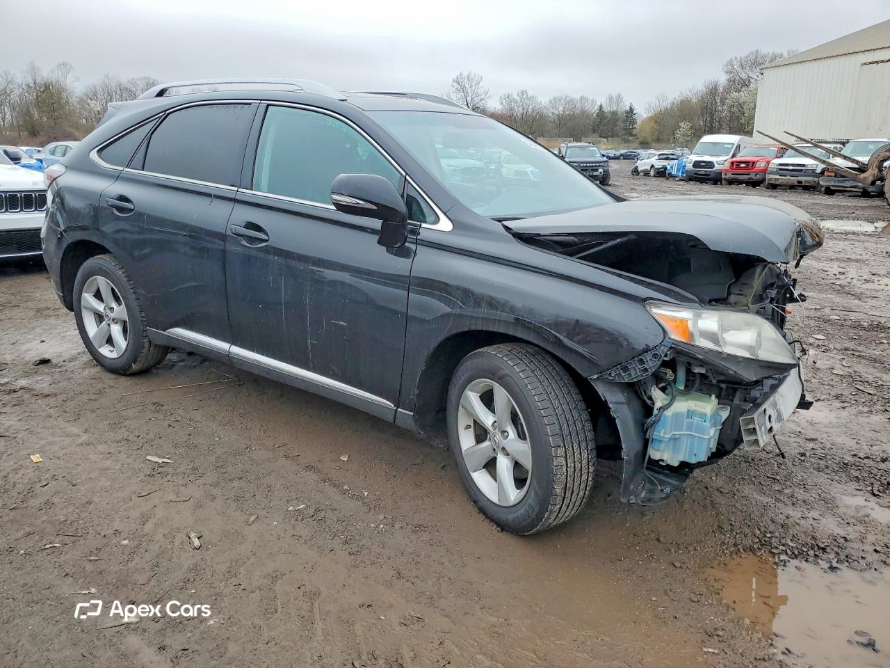 Lexus RX 2010