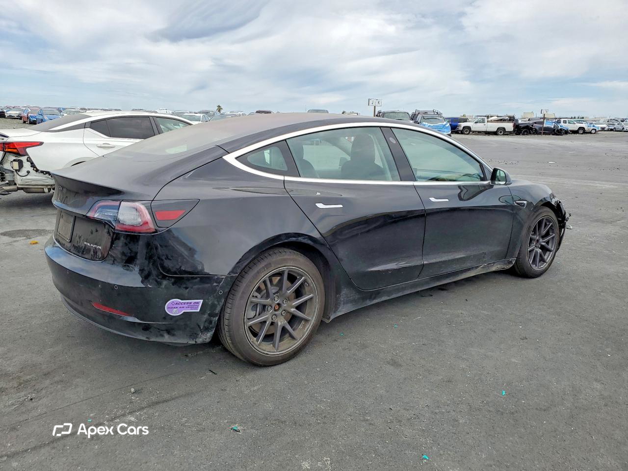 Tesla Model 3 2019
