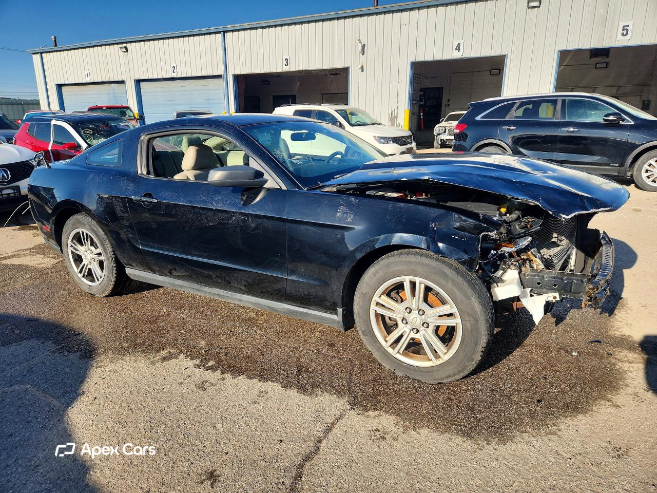 Ford Mustang 2011