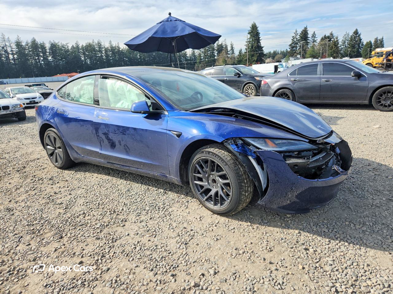 Tesla Model 3 2025