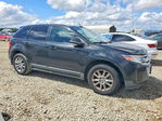 Ford Edge 2013