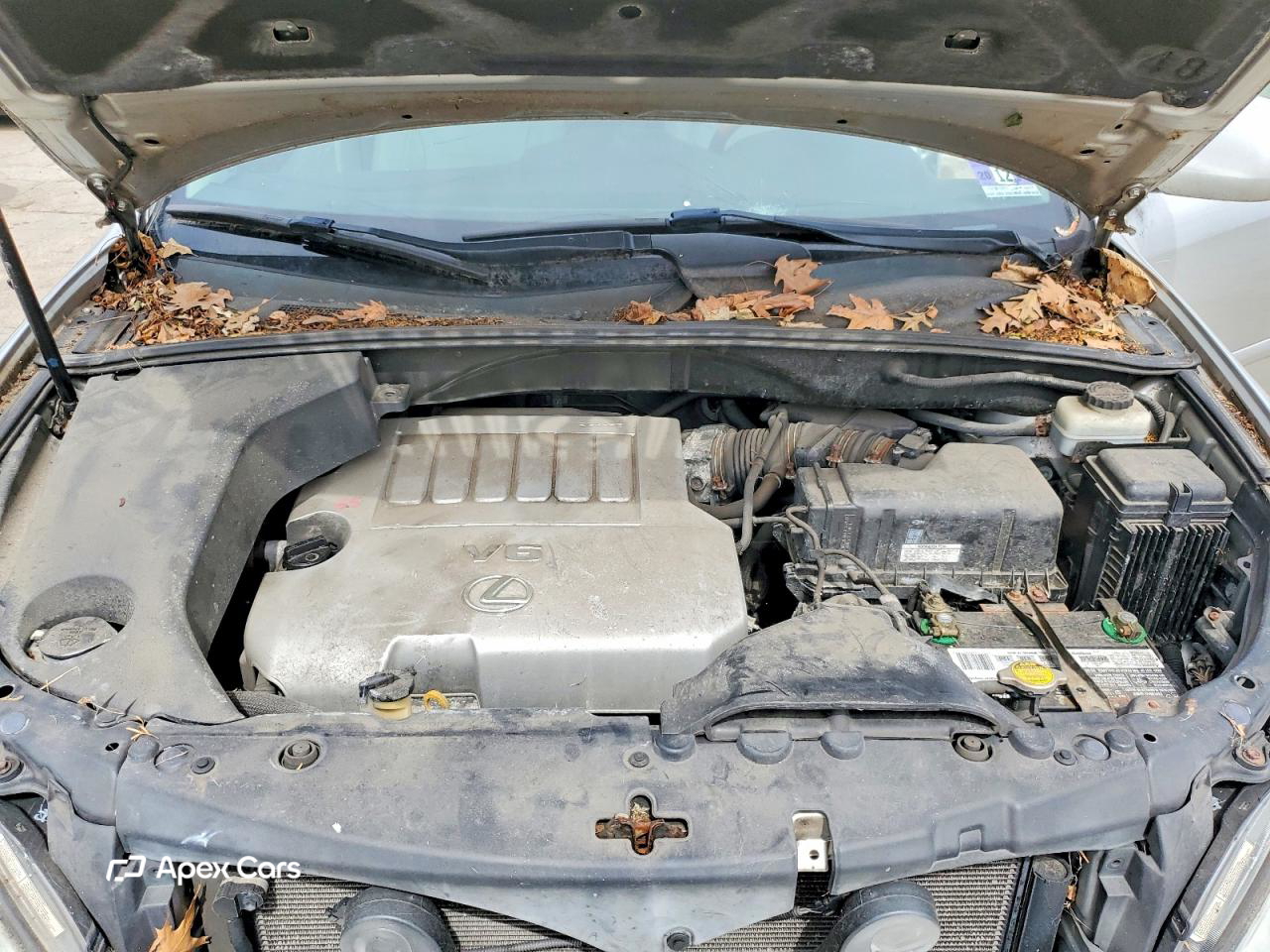 Lexus RX 2008