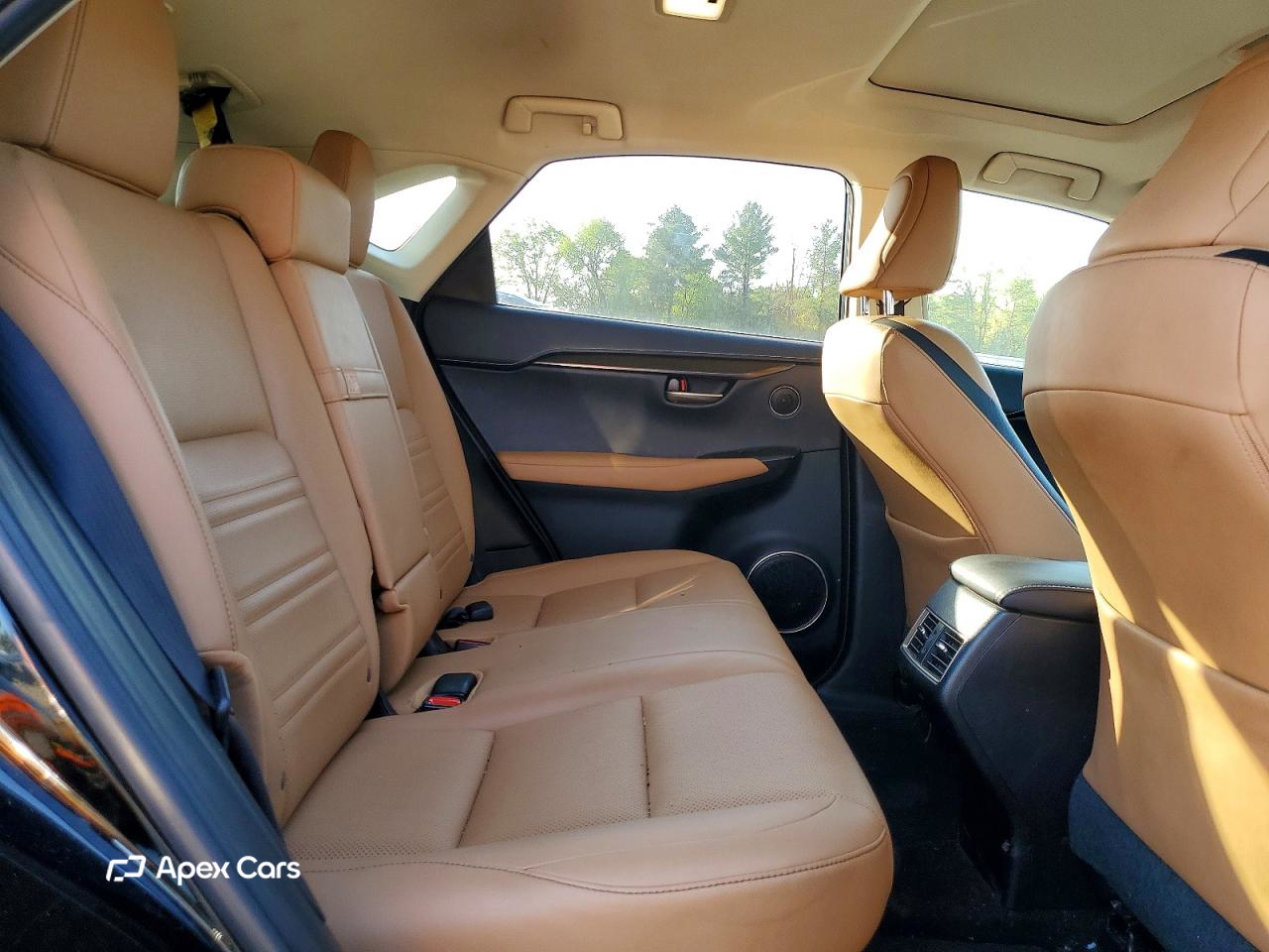 Lexus NX 2016