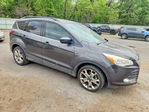 Ford Escape 2015