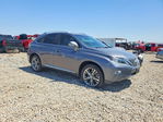 Lexus RX 2013