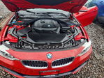 BMW Series 4 2017