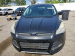 Ford Escape 2013
