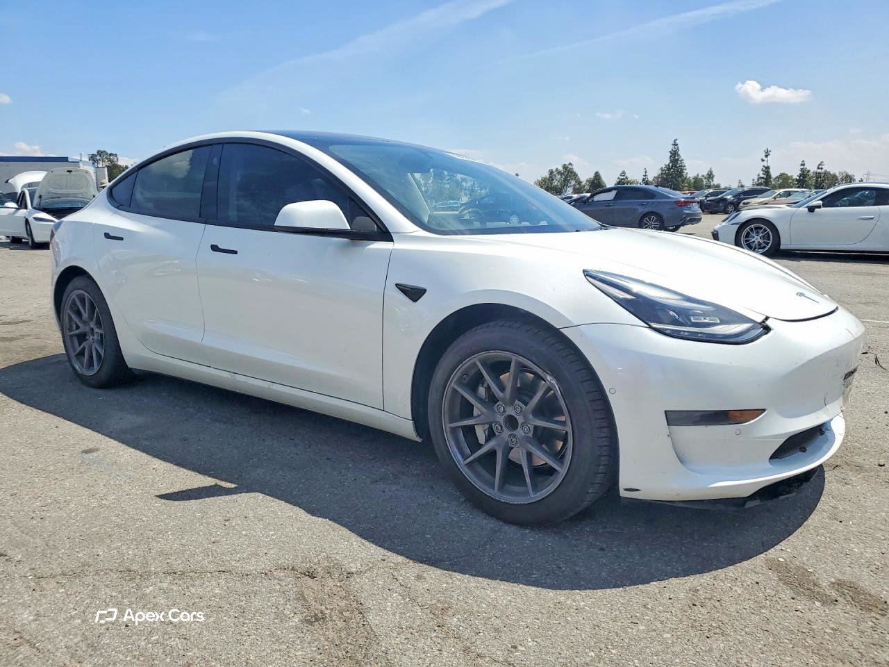 Tesla Model 3 2022