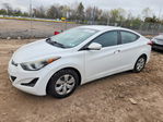 Hyundai Elantra 2016