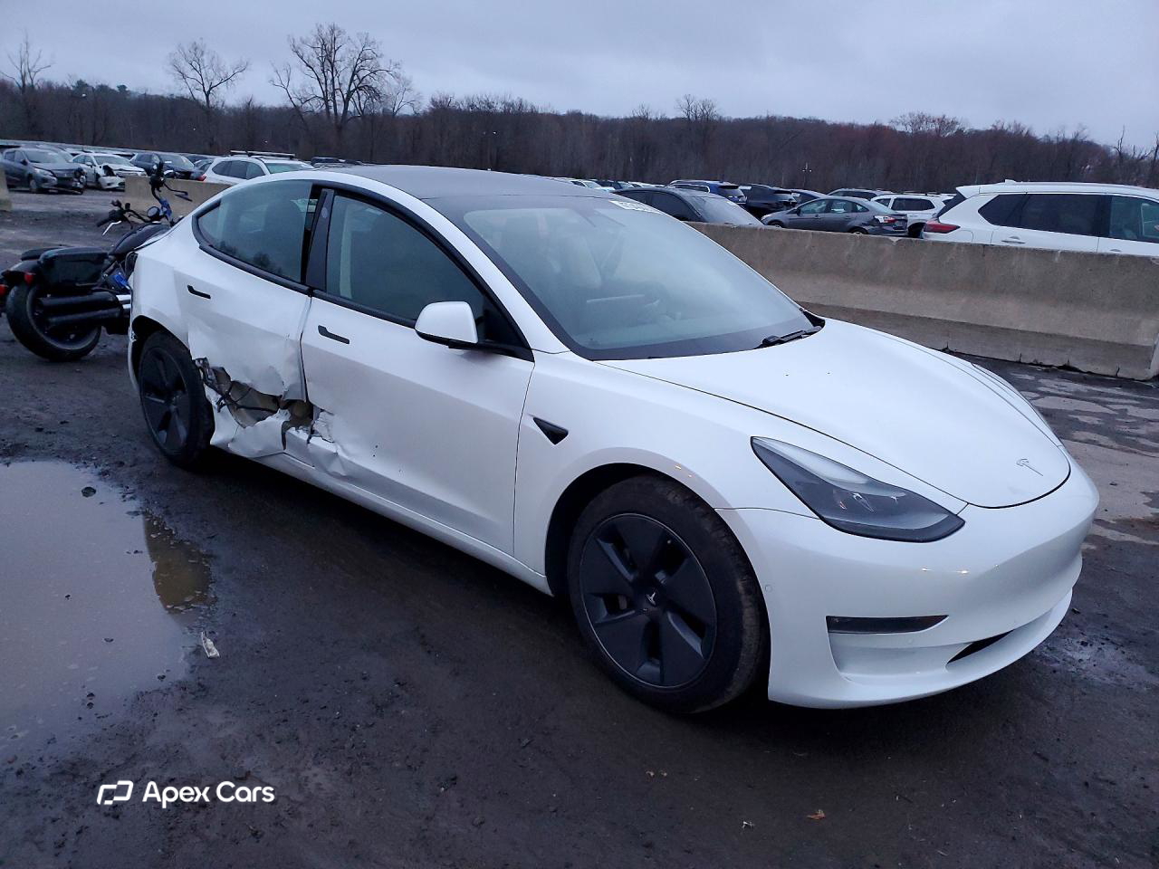 Tesla Model 3 2021