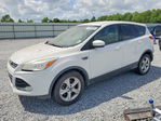 Ford Escape 2016