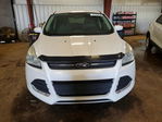 Ford Escape 2013