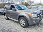 Ford Escape 2010