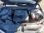 Audi A4 2014