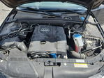 Audi A4 2014