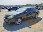 Lexus ES 2009